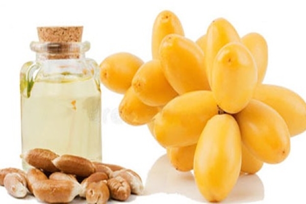 تصویر 3 از قیمت خرید روغن هسته خرما بسته بندی + فروش ویژه